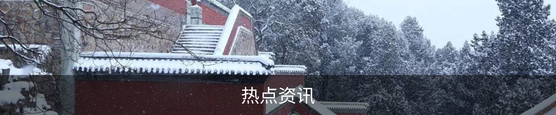 我们的服务